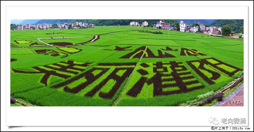 【春天，广西桂林灌阳县向您发出邀请！】开篇 - 游山玩水 - 图木舒克生活社区 - 图木舒克28生活网 tmsk.28life.com