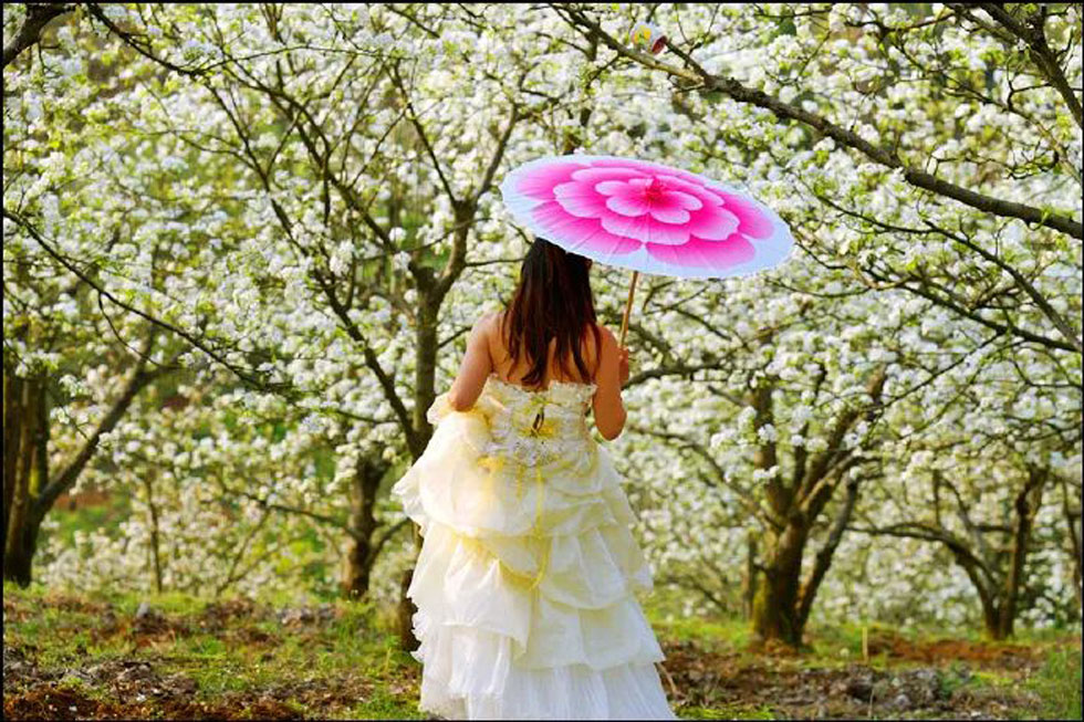 【春天,广西桂林灌阳县向您发出邀请!】我们在灌阳看梨花 - 游山玩水 - 图木舒克生活社区 - 图木舒克28生活网 tmsk.28life.com