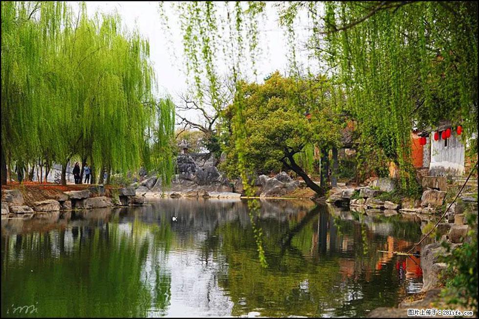 【春天,广西桂林灌阳县向您发出邀请!】江口老街又逢春 - 游山玩水 - 图木舒克生活社区 - 图木舒克28生活网 tmsk.28life.com