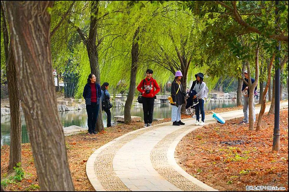 【春天,广西桂林灌阳县向您发出邀请!】江口老街又逢春 - 游山玩水 - 图木舒克生活社区 - 图木舒克28生活网 tmsk.28life.com