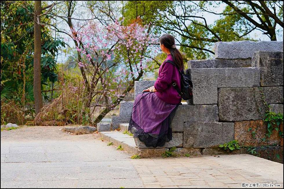 【春天,广西桂林灌阳县向您发出邀请!】江口老街又逢春 - 游山玩水 - 图木舒克生活社区 - 图木舒克28生活网 tmsk.28life.com