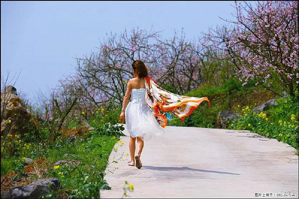 【春天,广西桂林灌阳县向您发出邀请!】望月岭上桃花开 - 游山玩水 - 图木舒克生活社区 - 图木舒克28生活网 tmsk.28life.com