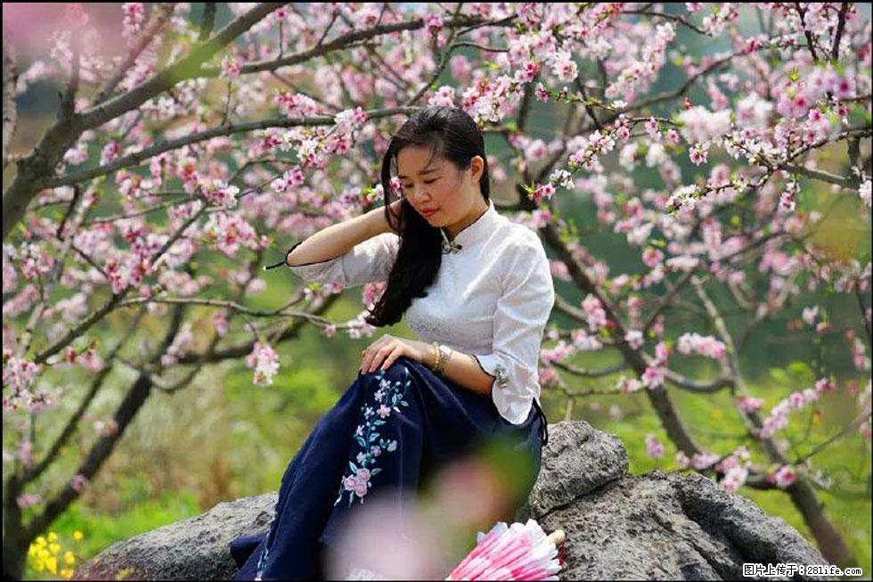 【春天,广西桂林灌阳县向您发出邀请!】望月岭上桃花开 - 游山玩水 - 图木舒克生活社区 - 图木舒克28生活网 tmsk.28life.com