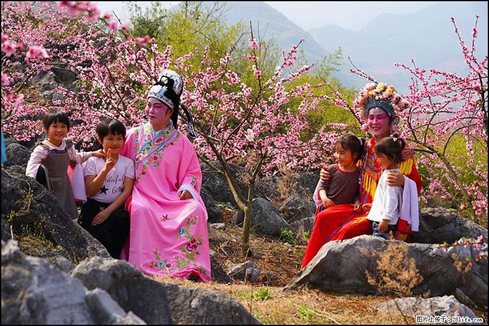 【春天,广西桂林灌阳县向您发出邀请!】望月岭上桃花开 - 游山玩水 - 图木舒克生活社区 - 图木舒克28生活网 tmsk.28life.com