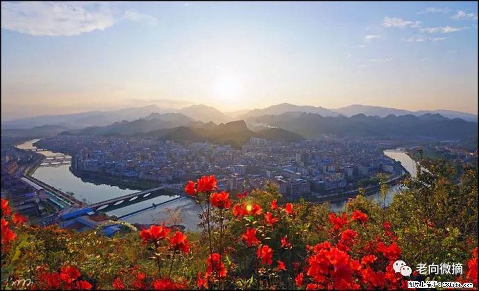 【春天，广西桂林灌阳县向您发出邀请！】登麒麟山，相约映山红 - 游山玩水 - 图木舒克生活社区 - 图木舒克28生活网 tmsk.28life.com