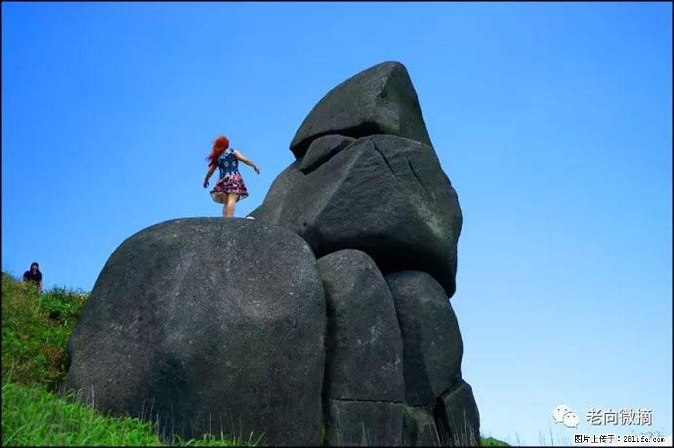 【春天,广西桂林灌阳县向您发出邀请!】宝盖山上映山红 - 游山玩水 - 图木舒克生活社区 - 图木舒克28生活网 tmsk.28life.com