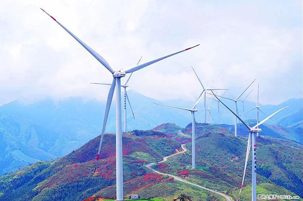 【春天,广西桂林灌阳县向您发出邀请!】春木界上映山红 - 游山玩水 - 图木舒克生活社区 - 图木舒克28生活网 tmsk.28life.com