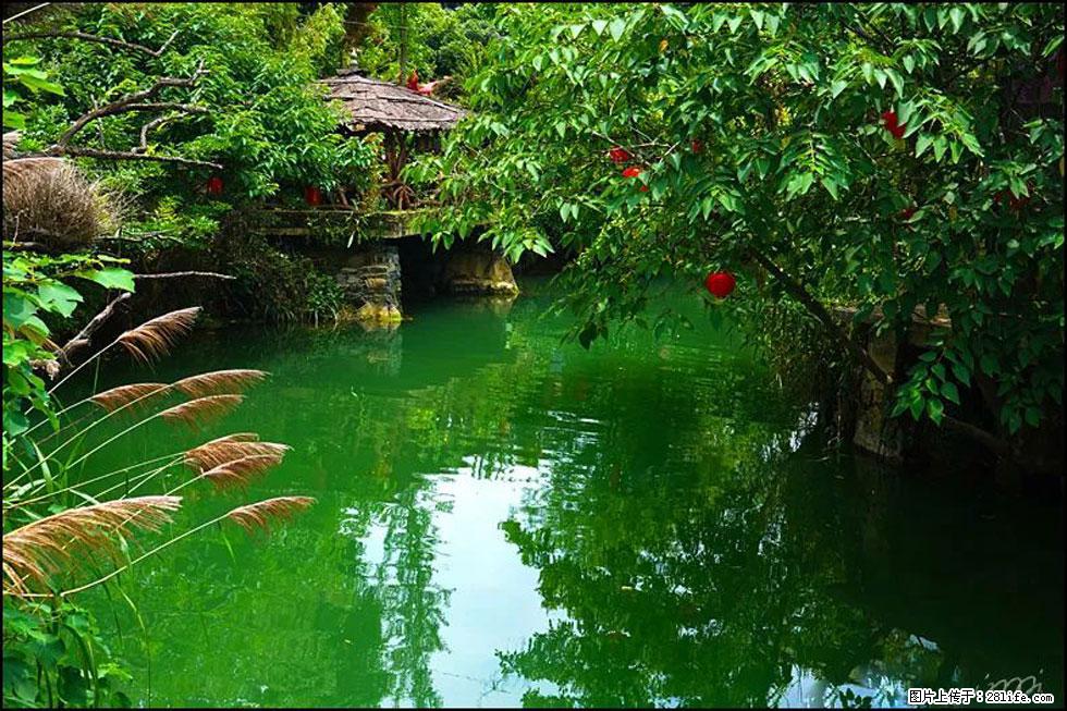 【春天，广西桂林灌阳县向您发出邀请！】如梦似幻莲溪庐 - 游山玩水 - 图木舒克生活社区 - 图木舒克28生活网 tmsk.28life.com