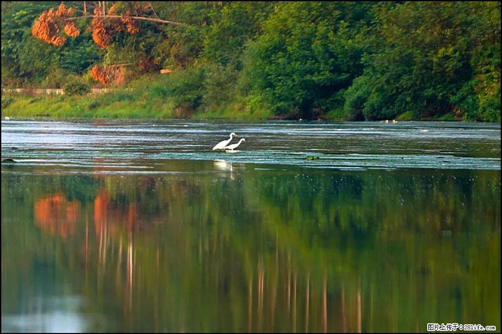 【春天,广西桂林灌阳县向您发出邀请!】熊家寨湿地公园 - 游山玩水 - 图木舒克生活社区 - 图木舒克28生活网 tmsk.28life.com