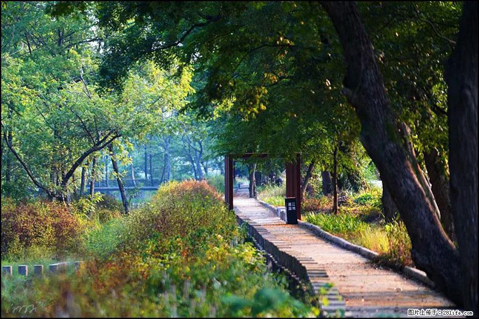 【春天,广西桂林灌阳县向您发出邀请!】熊家寨湿地公园 - 游山玩水 - 图木舒克生活社区 - 图木舒克28生活网 tmsk.28life.com