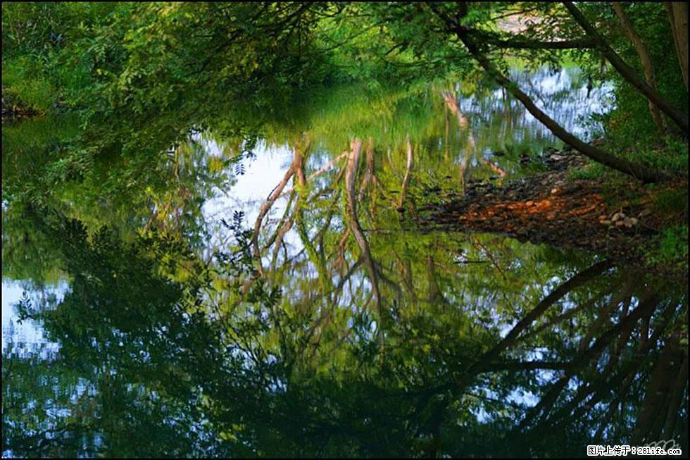 【春天,广西桂林灌阳县向您发出邀请!】熊家寨湿地公园 - 游山玩水 - 图木舒克生活社区 - 图木舒克28生活网 tmsk.28life.com