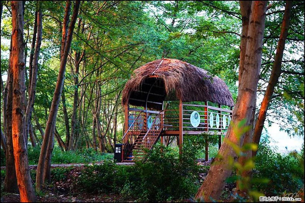 【春天,广西桂林灌阳县向您发出邀请!】熊家寨湿地公园 - 游山玩水 - 图木舒克生活社区 - 图木舒克28生活网 tmsk.28life.com