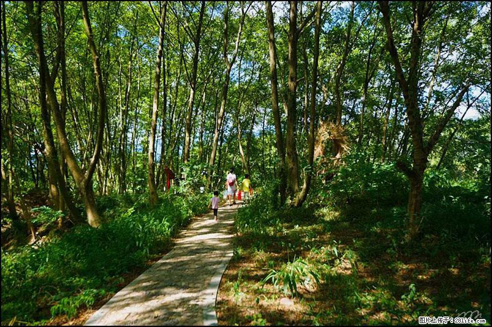 【春天,广西桂林灌阳县向您发出邀请!】熊家寨湿地公园 - 游山玩水 - 图木舒克生活社区 - 图木舒克28生活网 tmsk.28life.com