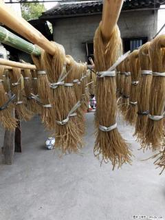 【灌阳正宗红薯粉】美女家里自己做的，干净卫生，假一赔十，价格合理，抢购电话：13737312895 - 图木舒克28生活网 tmsk.28life.com