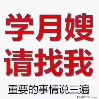 为什么要学习月嫂，育婴师？ - 图木舒克28生活网 tmsk.28life.com