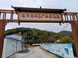 【灌阳县油茶产业示范区】一个有着充实的精神生活的人，对待身外之物自会有一种淡泊的态度 - 图木舒克28生活网 tmsk.28life.com