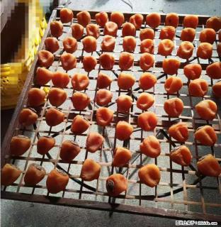 广西桂林平乐桥亭【柿饼之乡】2025年纯手工制作、无任何添加剂的第一批柿饼准备上市了，欢迎联系订购！ - 图木舒克28生活网 tmsk.28life.com