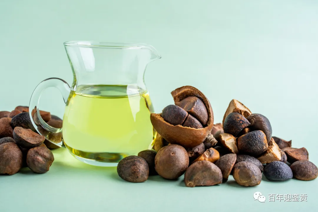 世界没有真相，只有认知，最好的食用油是中国的山茶油！ - 图木舒克生活资讯 - 图木舒克28生活网 tmsk.28life.com