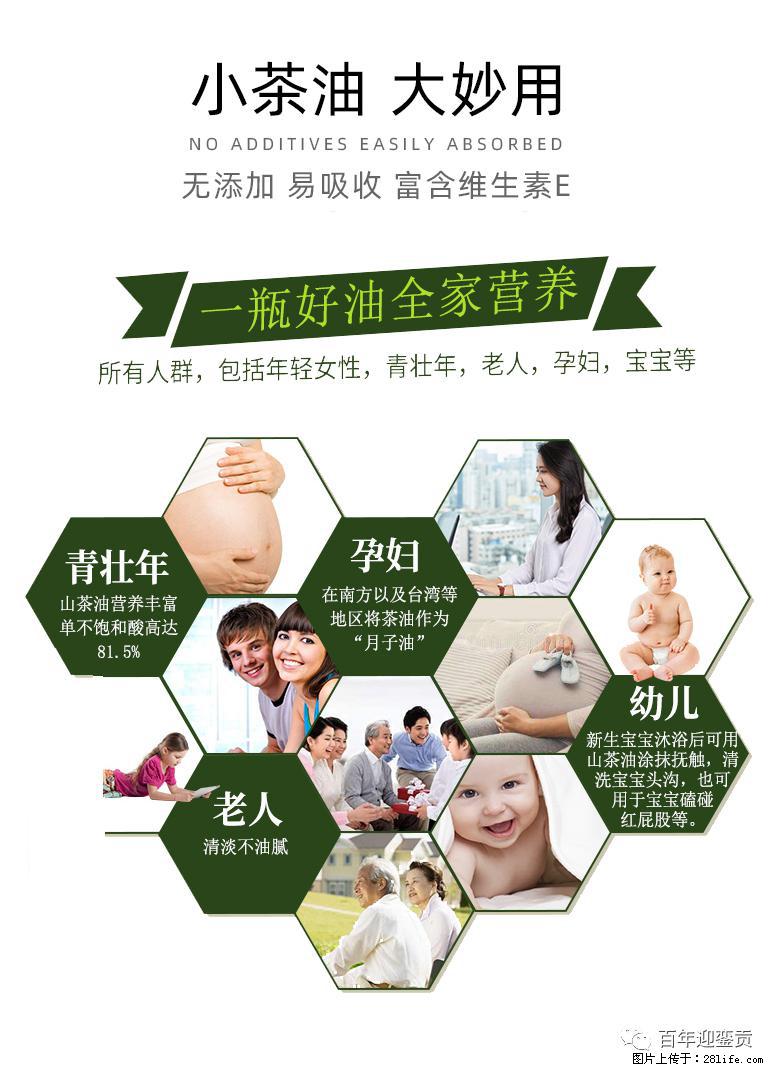 世界没有真相，只有认知，最好的食用油是中国的山茶油！ - 图木舒克生活资讯 - 图木舒克28生活网 tmsk.28life.com