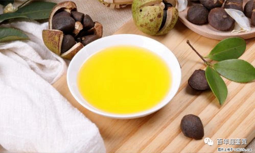 世界没有真相，只有认知，最好的食用油是中国的山茶油！ - 图木舒克生活资讯 - 图木舒克28生活网 tmsk.28life.com