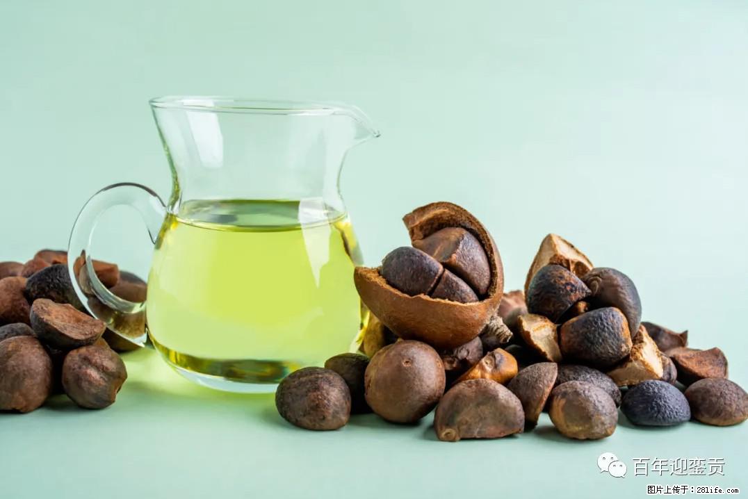 世界没有真相，只有认知，最好的食用油是中国的山茶油！ - 图木舒克生活资讯 - 图木舒克28生活网 tmsk.28life.com