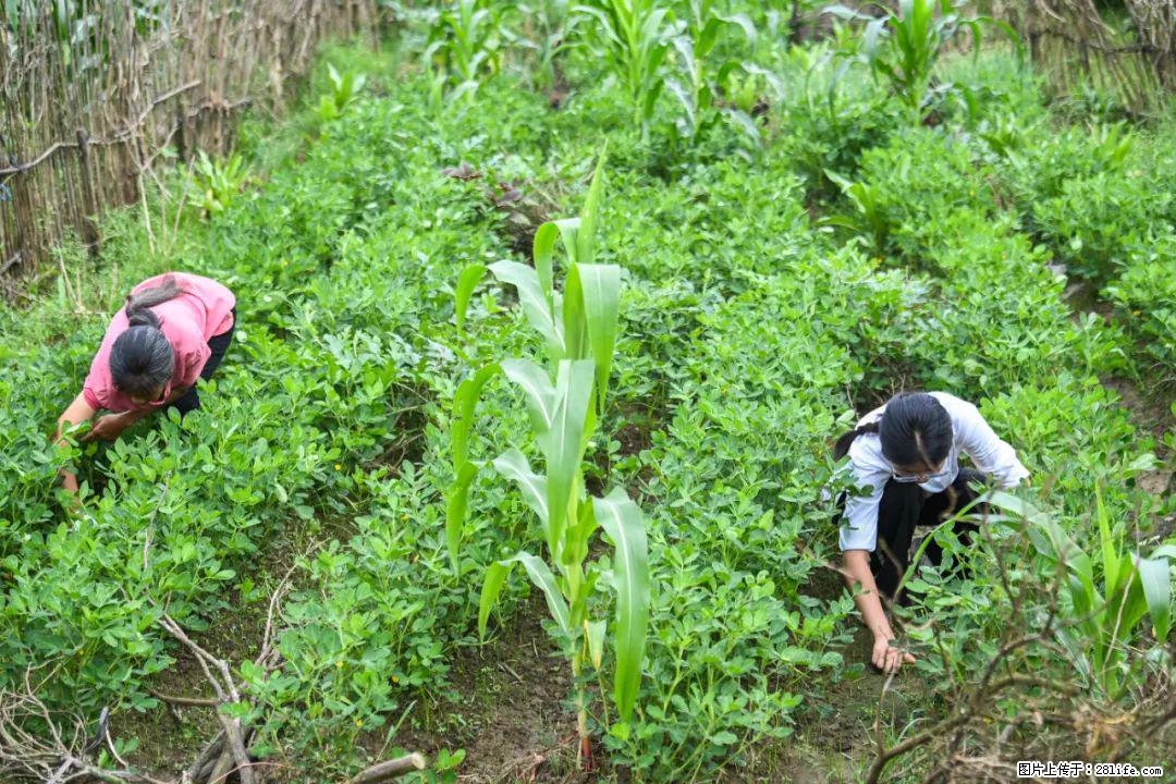 全网追的“扁担女孩”，找了一份暑假工，时薪12元 - 图木舒克生活资讯 - 图木舒克28生活网 tmsk.28life.com
