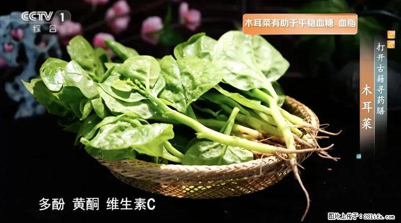 比牛奶补钙还厉害！凉血解毒、稳血糖...这菜冬天必吃，很多人却当草 - 图木舒克生活资讯 - 图木舒克28生活网 tmsk.28life.com