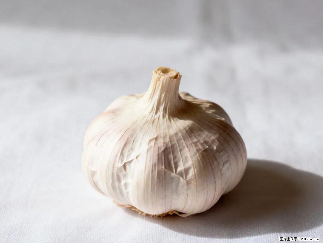 关于大蒜，除了“天然抗生素”，这4个谣言更该警惕! - 图木舒克生活资讯 - 图木舒克28生活网 tmsk.28life.com