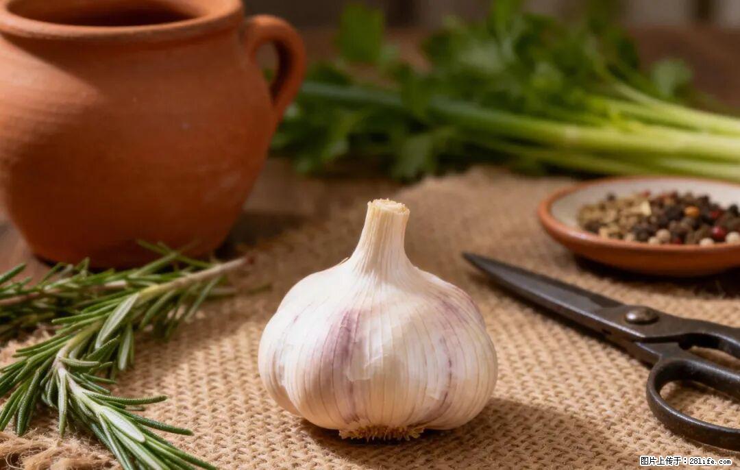 关于大蒜，除了“天然抗生素”，这4个谣言更该警惕! - 图木舒克生活资讯 - 图木舒克28生活网 tmsk.28life.com