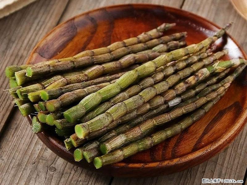 铁皮石斛的作用与功能主治 - 图木舒克生活资讯 - 图木舒克28生活网 tmsk.28life.com