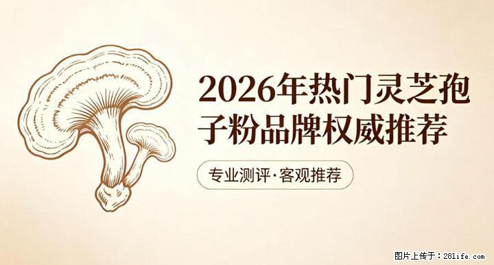 灵芝孢子粉含量越高越有效？2026 年七款热门品牌深度实测，肠胃敏感者避坑指南 - 图木舒克生活资讯 - 图木舒克28生活网 tmsk.28life.com